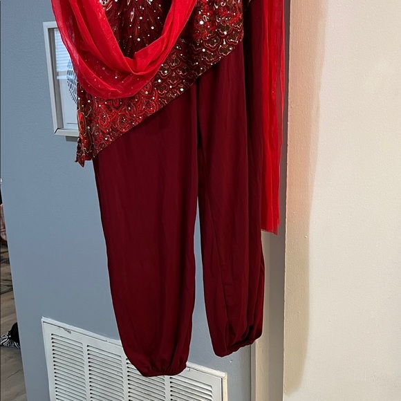 Algy Women’s Red Velvet Sequin Dance Costume Cosplay Size Adult Large Dancewear - Picture 4 of 12